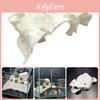 Textured Aquariums Natural Cave Decoration With Multiple Entries For Fish Shrimp Safety And Tanks Environment Enrichment