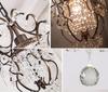 Modern Luxury Living Room LED Crystal Chandelier Rural Farmhouse Ceiling Light Dining Room Bedroom Lighting Home Hotel Attic