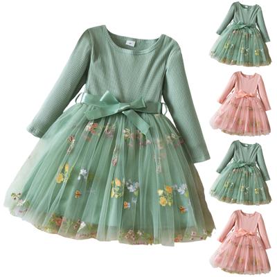 Girls Fashion Cute Long Sleeve Flower Embroidery Mesh Princess Dress Dresses