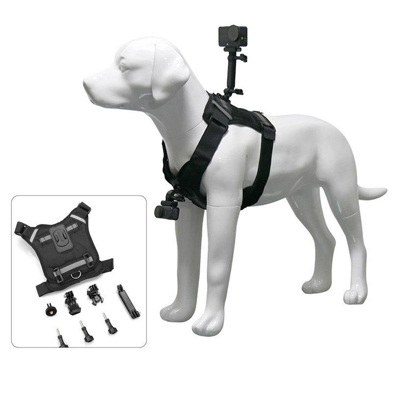 Imbracatura premium per cani Supporto per action camera Supporto per fotocamera per animali domestici Cane Fotografia Supporto Gilet Supporto per fotocamera Gilet Imbracatura per animali domestici
