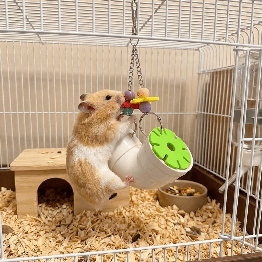 Colorful Hamster Foraging Pipeline Plastic Bite Resistant Bird Gnawing Hidden Snack Games Pet Bird Cage Accessory