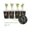12Grids Seed Starter Tray Mini Greenhouse with Ventilation Hole Plant Germination Base Seeds Growing Cultivation Planting Box