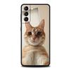Kawaii Liebe Katze Handyhülle Für Samsung Galaxy S25 Edge S24 S23 S22 S21 Ultra S20 FE 5G S10 S10E S9 Plus Weiche TPU Hülle
