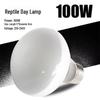 Lampa grzewcza UVA dzień i noc dla gadów dla jaszczurki, żółwia i terrarium