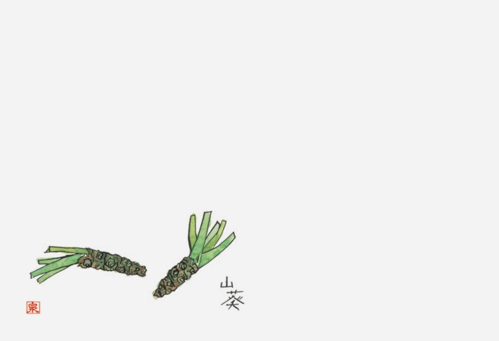 Papel de Laca Wakaizumi Mesa Longa Sabor de Comida Wasabi 100 Tapetes de Alta Qualidade, Tapetes de 13 polegadas, Série, (Wasabi), Folhas, B-25-96