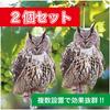 Hyack Bird Repellent, Owl Repellent, Pigeon Repellent, Crow Repellent, Bat Repellent, Owl Repellent (Owl 1) [Parallel Import]