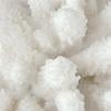 Creativity Resin Artificial Coral Artificial Coral Handcrafted Furnishings White Marble Base Home Decoration Simulation Animal