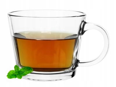 Justin 380 Ml Transparent Tea Glass with Handle