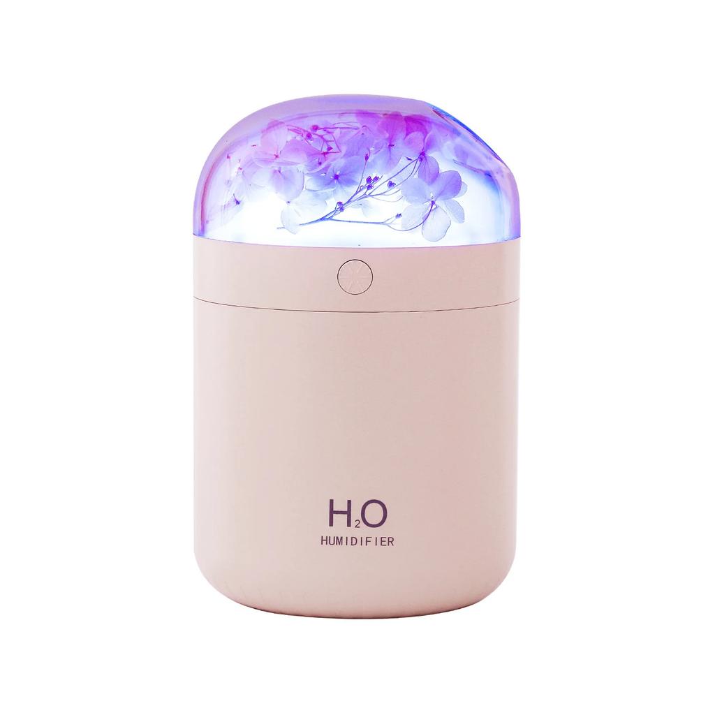 Aeonium Humidifier Mini Home Bedroom Hydration Desktop Sprayer Aromatherapy Ambient Light Humidifiers Difuser Essential Oil