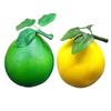Realistické pěny Ovocná simulace Grapefruit Ovocné fotografické rekvizity pro košíkové displeje Dekorace