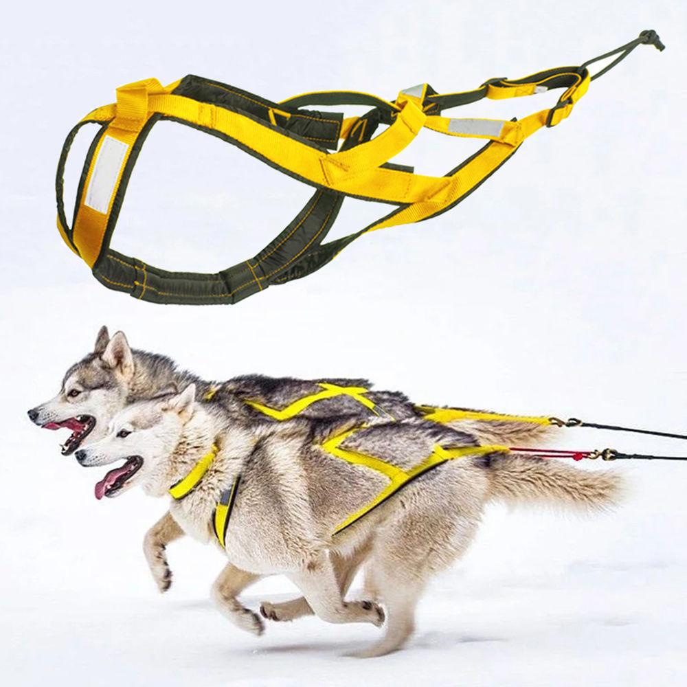 Snow Pull Pet Sled Chest Strap Erha Golden Retriever Samoyed Medium and Large Dogs Running Traction Reflective Chest Back