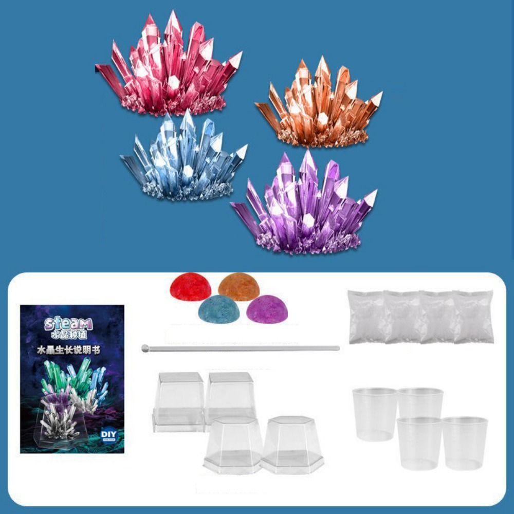 Display Cases Crystal Growing Kit Grow a Crystal Vibrant Colored Crystals DIY Educational Science Toys Mold Shapes