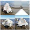 Large Conch Seashell Ornament for Wall Decor, Aquarium Aquascaping, and Sea Sound Collection