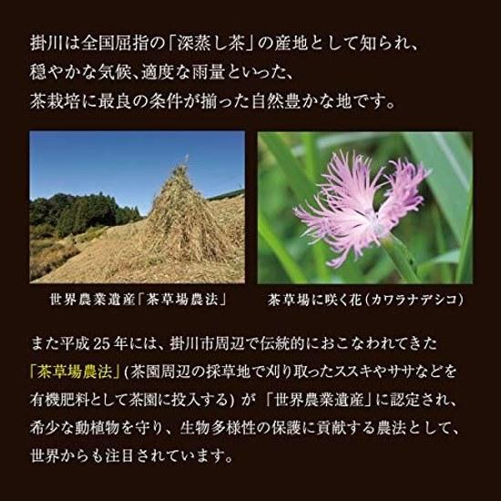 Chatsumi no Sato bulk matcha-infused genmaicha tea bags 2.5g100 pieces pack 100 Shizuoka Prefecture green