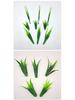 Three-Pronged Grass Seed Bonsai: Small Potted Simulation Lawn and Aquatic Plant