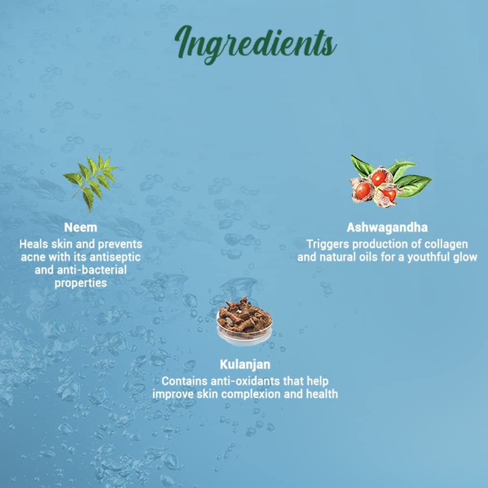 Biotique Fresh Neem Pimple Control Face Wash 150ml | Ayurvedic Foaming Cleanser for Clear Skin | Prevents Breakouts