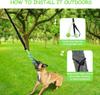Interactive Dog Toy Tug of War Spring Rope Dogs Outdoor and Indoor Hanging Pull Rope Ball Puppy Molar Teeth Cleaning Chew Toys