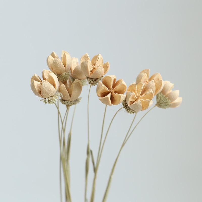 Yunnan Dried & Immortal Flowers Bouquet: Baby's Breath, Roses, Forget-Me-Nots for Home & Homestay Decor