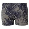 Hanro Fancy Micro Quick Dry Boxer Briefs  73125 Striped Palm Print 