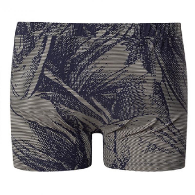 Hanro Fancy Micro Quick Dry Boxer Briefs  73125 Striped Palm Print 