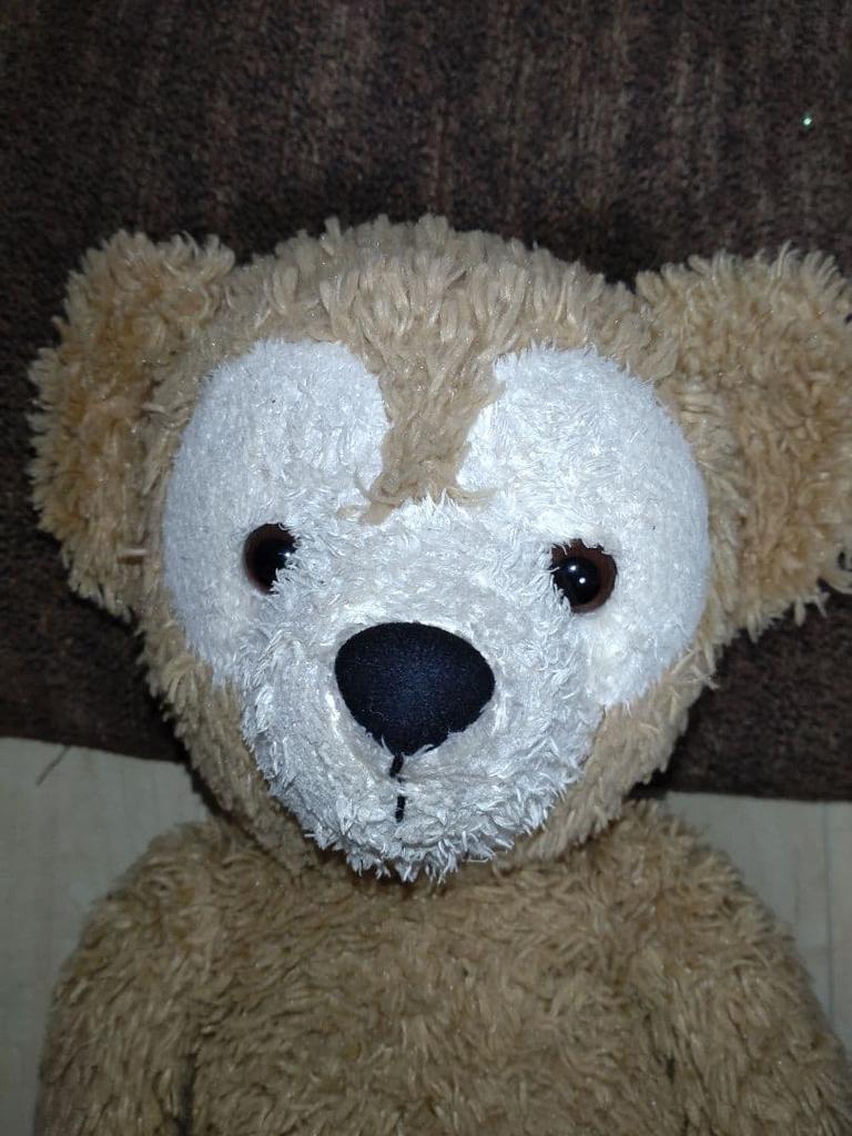 [USED] Teddy bear plush toy (Disney)
