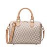 2026 Lente Trendy Eenvoudige Boston Print Kussen Handtas Crossbody voor Vrouwen