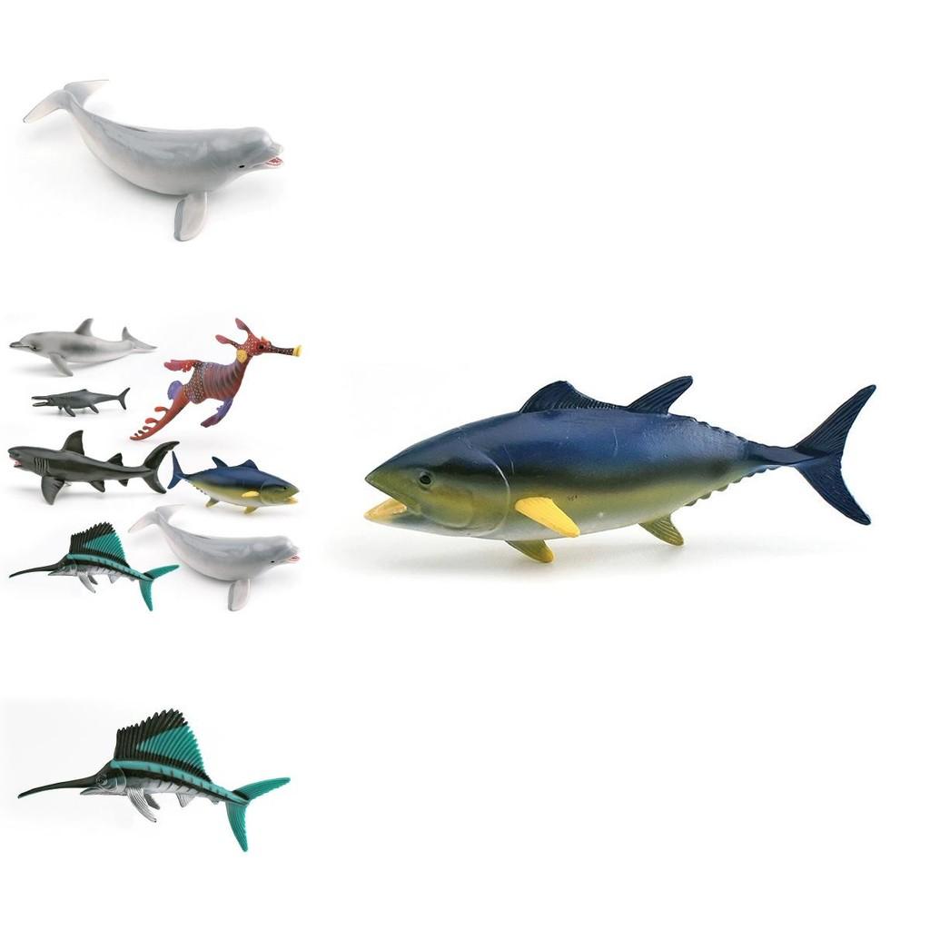 Marine Animal Replica White Whale Shark Static Model For Aquarium Display And Marine Education