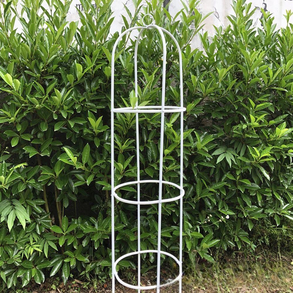 Stable Construction Plant Support Frame Climbing Vines Stand  Indoor Outdoor Yard