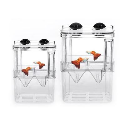 Peces y mascotas acuáticas – Mantenimiento de acuario