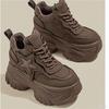 High-value retro dad shoes 2025 new autumn platform small casual fashion inner height-increasing women's shoes 10cm