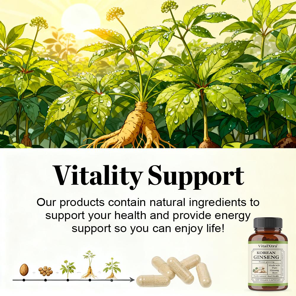 Bio Koreanische Ginsengwurzel 1000mg 120 Vegane Kapseln Nahrungsergänzungsmittel