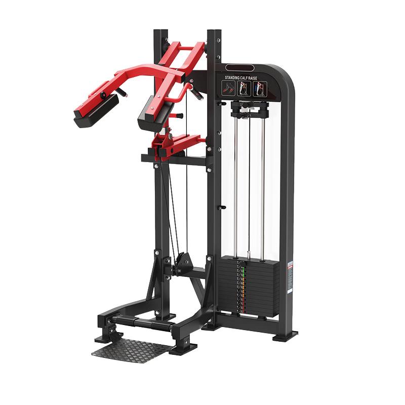 Lurong Power Commercial Strength Training Equipment