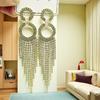 Exaggerated Trendy Long Tassel Rhinestone Circle Dangle Earrings with Micro-Pavé, Cross-Border Fashion High-End Design.