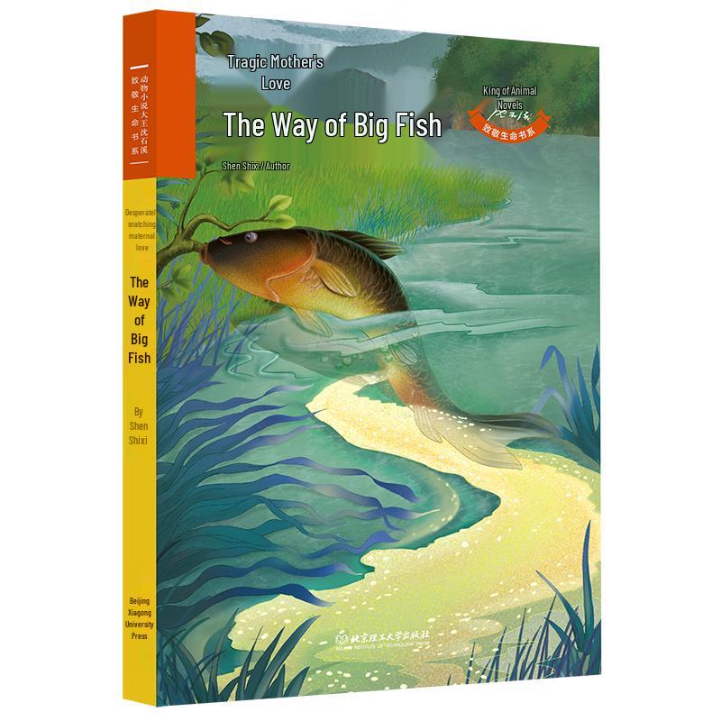 Shen Shixi: The Way of the Big Fish