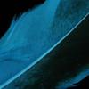 50 Piece 135mm Colorful Wild Duck Feather for Clothing Costume Decoration