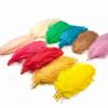 10Pcs Multicolor Ostrich Feather Wedding Home  Carnival Decoration Table Centerpieces 15-20Cm 20-25Cm 30-35Cm Plumes For Crafts