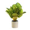 Artificial Plant Artificial Flower Exquisite Artificial Green Plant In a Stylish Potted Design Perfect for Home Décor