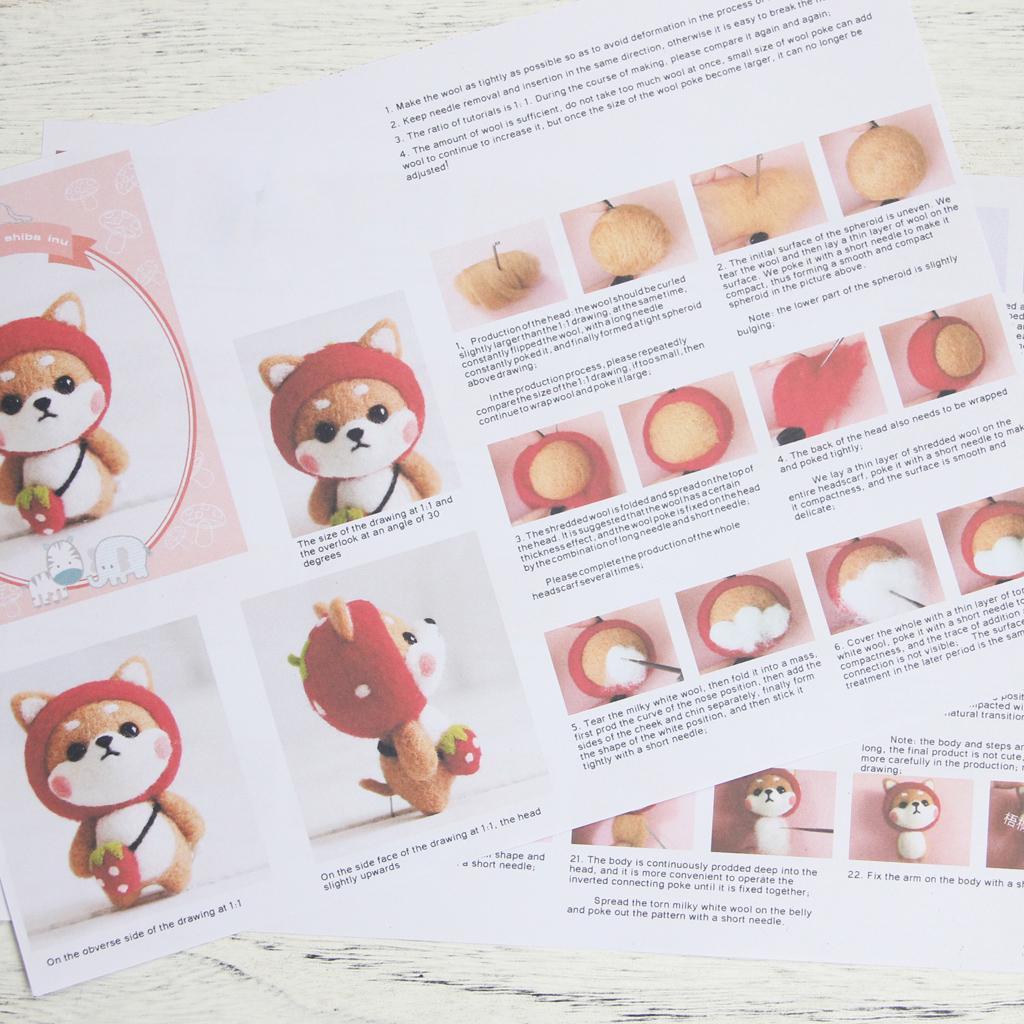 Felting Kit DIY For Beginners With