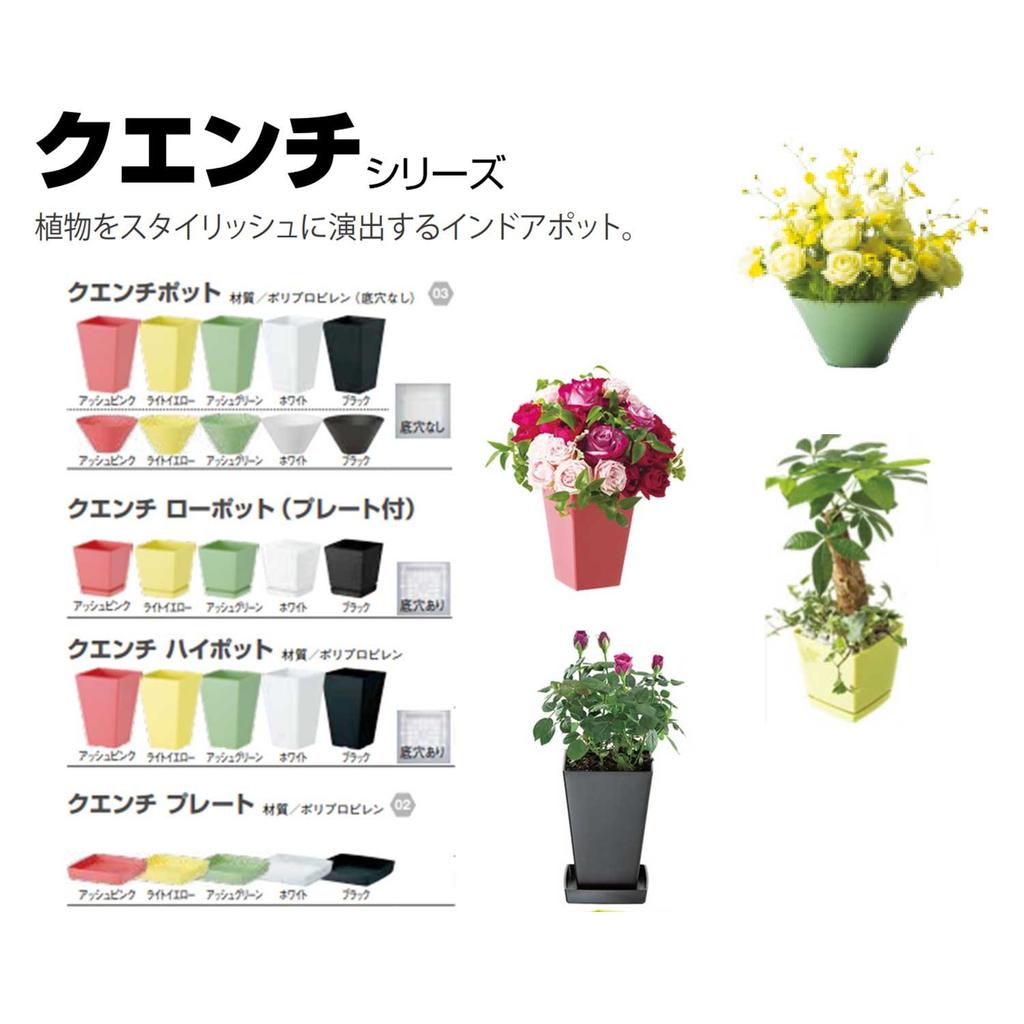 Yamato Plastkruka Planter Quench Låg Kruka (med tallrik) Nej. 6 140 x 140 x H150 Vit