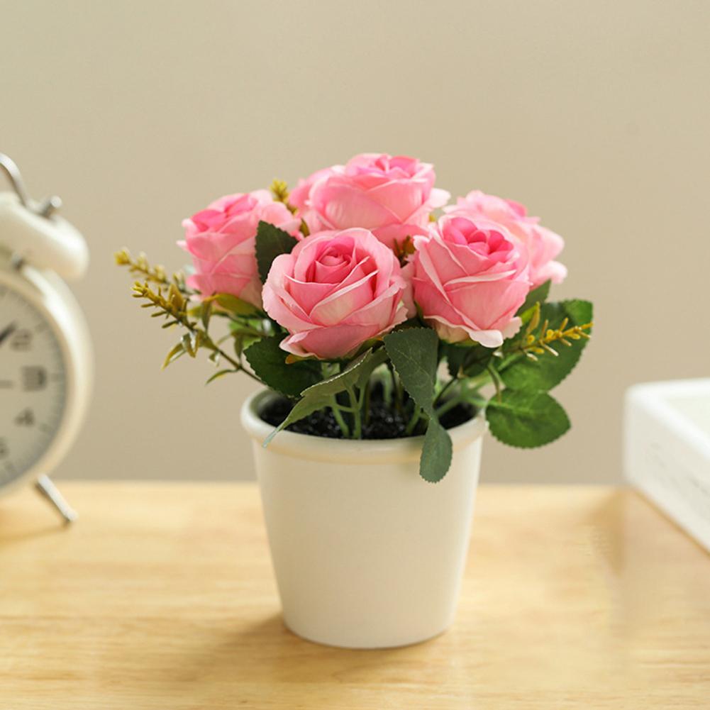 Exquisite Rose Flower Freshing House Plant Natural Potted