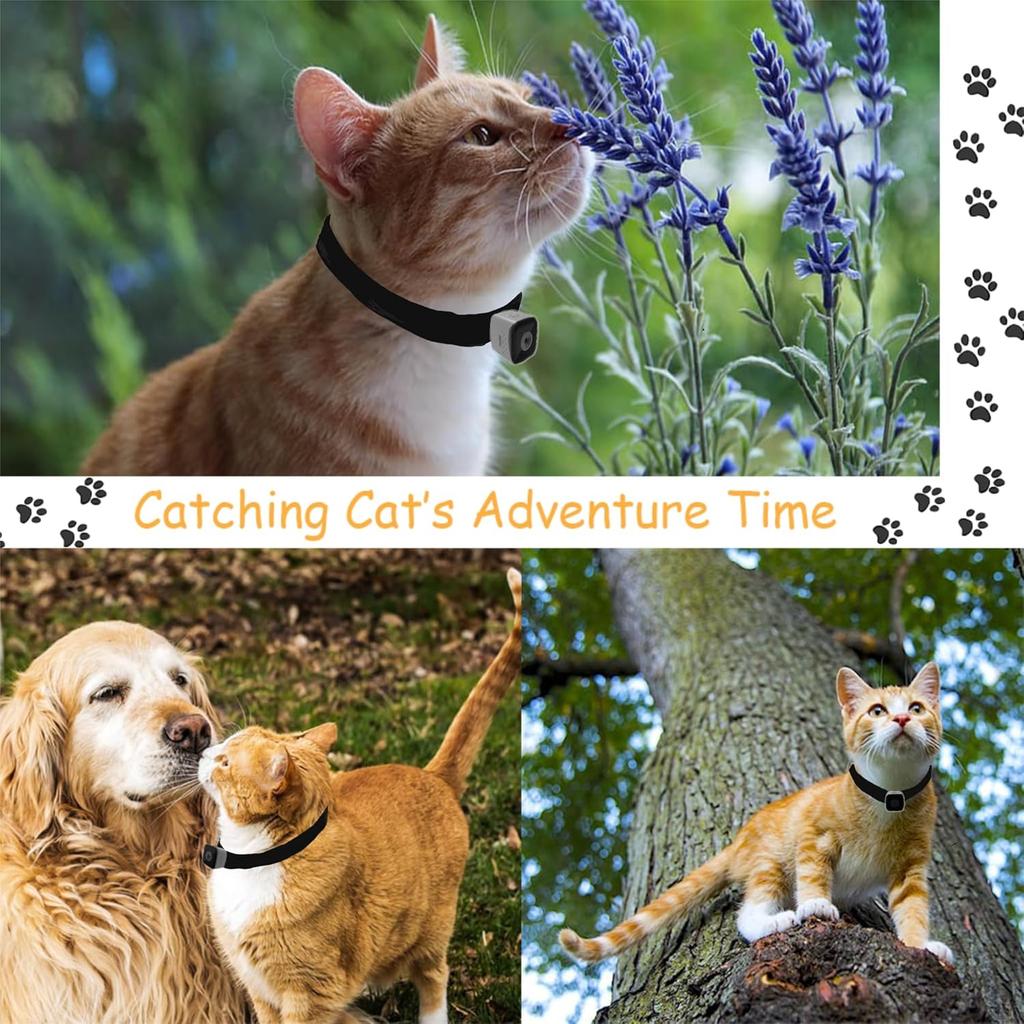 Cat Camera Collar, No WiFi Needed No APP,Cat Collar Camera with Video Record, Body Camera for Cat/Dog Recording,Camera for Cat Collar,Pet Collar