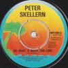 7inch Record PETER SKELLERN  Oh What A Night For Love WIP6300 ISLAND RECORDS 1976 UK Pop Used
