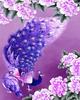 5D DIY Diamond Embroidery Full Set Cross Stitch Peacock Full Square Round Diamond Painting Animal Picture Of Rhinestone Decor For Home