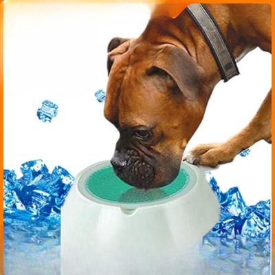 Cani – Distributori di cibo e acqua per gatti