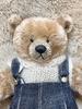 [USED] Teddy Bear with Costume by a Japanese Artist