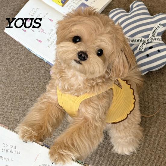 Thin Fabric Dog Tee Ribbed Sleeveless T-Shirt, Breathable Girl Vest Shirt, Summer Puppy Outfit for Small Dogs Bichon Frise Schnauzer Soft