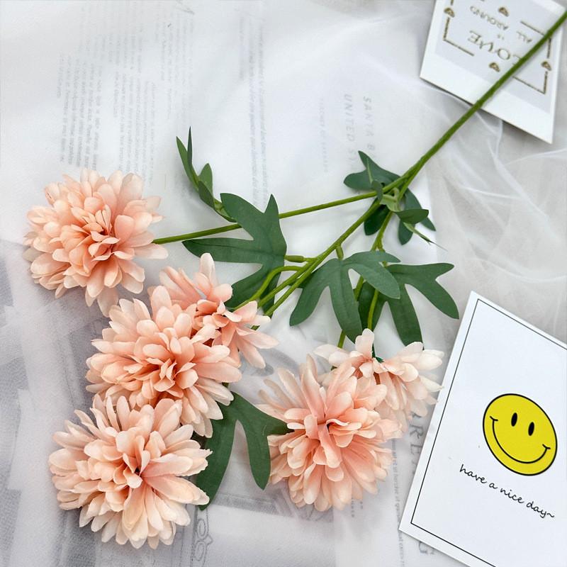 Realistic Fake Epaltes Australis Arrangement For Diy Home Decoration And Photography Props