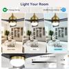 52-inch ceiling fan with LED light, dimmable, DC motor, timer function (1/4/8 h), 6 speed levels