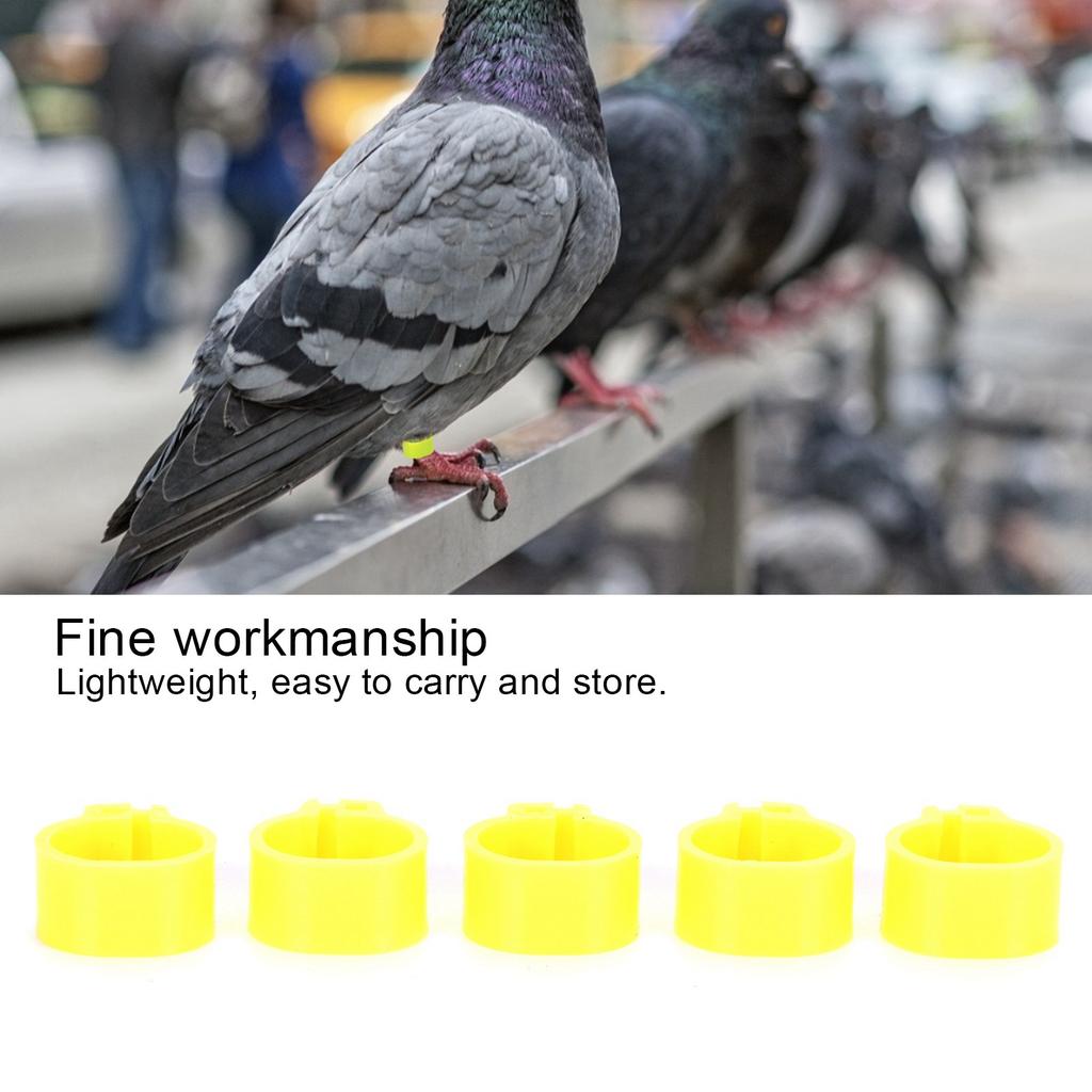 200Pcs 10mm Pigeons No Word Leg   Poultry Foot Clip Identification   Birds Supplies