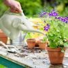 Cute Plastic Elephant Shape Watering Pot Can Plant Outdoor Irrigation Gardening Tools Household Small Water Spray Pot